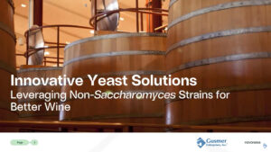 Novonesis Yeast Webinar 2024 YouTube Still Ver 2